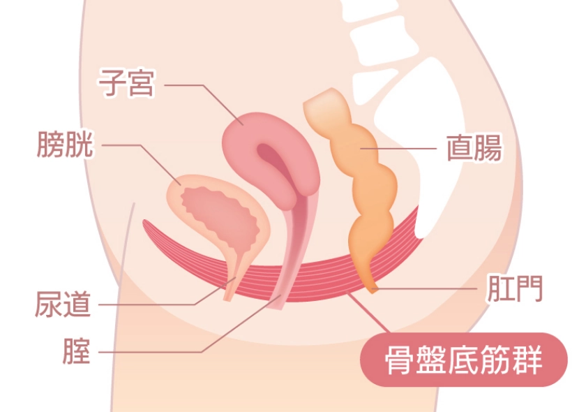 尿もれの原因ってなに？