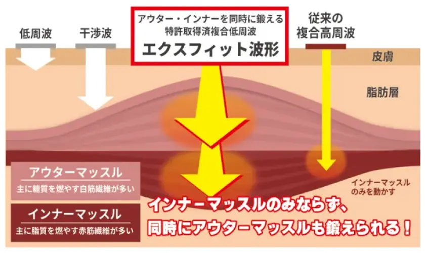 エクスフィット波形